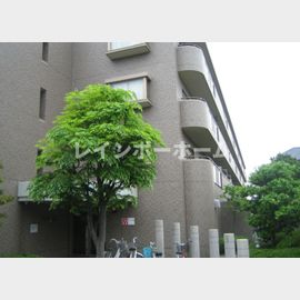 金町駅より徒歩13分 3階 築31年3ヶ月の賃貸物件