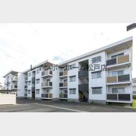 テレパレス柏てるて１の賃貸物件