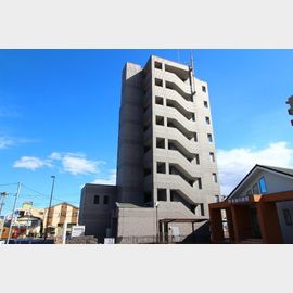 三郷中央駅より徒歩5分 8階 築19年11ヶ月の賃貸物件