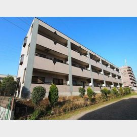 サニードエル5の賃貸物件