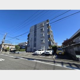 スカイフォート 1階 築37年3ヶ月の賃貸物件