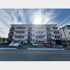 テラス台町 4階 築37年10ヶ月の賃貸物件