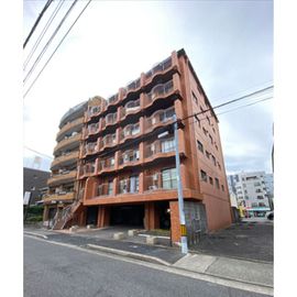 セサミハイツ 5階 築43年の賃貸物件