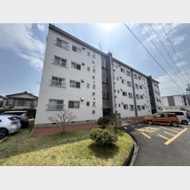 植田駅より徒歩11分 4階 築54年8ヶ月の賃貸物件