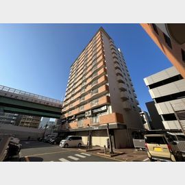 シティコーポ尾頭橋３号館 14階 築39年11ヶ月の賃貸物件