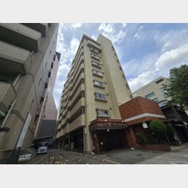 シャトー丸の内 5階 築44年5ヶ月の賃貸物件