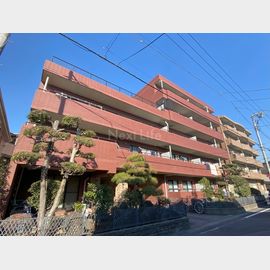 グレースレジデンス 5階 築28年8ヶ月の賃貸物件