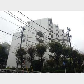 京王北野マンション四 1階 築51年9ヶ月の賃貸物件