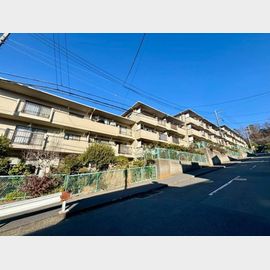 小机駅より徒歩5分 5階 築41年3ヶ月の賃貸物件