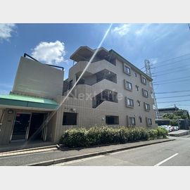 グレース代官4の賃貸物件