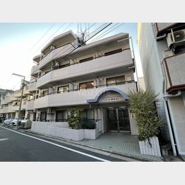 ラズプレイスツナシマ 2階 築35年の賃貸物件