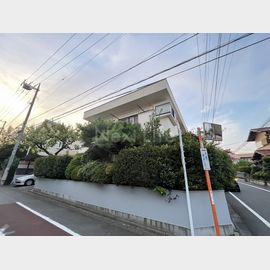 カレッジテラス 2階 築34年4ヶ月の賃貸物件