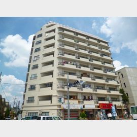 ハイネス立川の賃貸物件