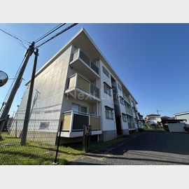 テレパレス柏てるて３の賃貸物件
