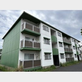 テレパレス柏てるて３号棟の賃貸物件