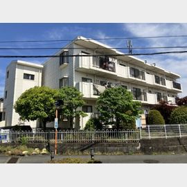 パレス桜の賃貸物件
