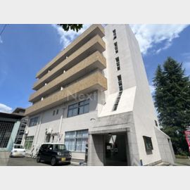 昭島駅より徒歩5分 4階 築51年2ヶ月の賃貸物件