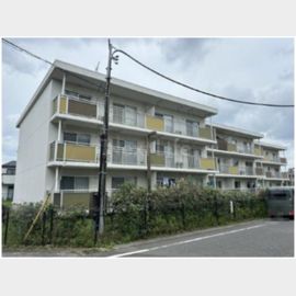 テレパレス柏てるて１ 2階 築37年1ヶ月の賃貸物件