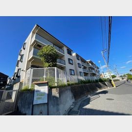 センターパーク新柏B棟B 1階 築30年9ヶ月の賃貸物件