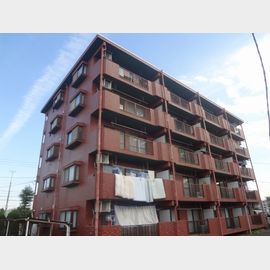 藤ハイツ 1階 築37年4ヶ月の賃貸物件
