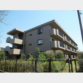 ヴェルドミール 3階 築32年6ヶ月の賃貸物件