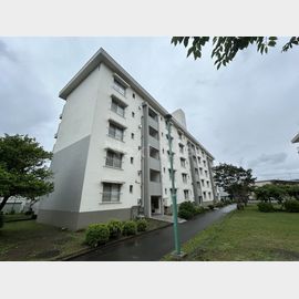 下麻生住宅１号棟 4階 築53年10ヶ月の賃貸物件