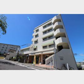 パークシャトー 2階 築51年10ヶ月の賃貸物件