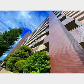 緑地公園駅より徒歩1分 8階 築46年2ヶ月の賃貸物件