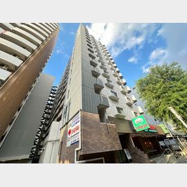 ヴィラ・フェニックス 11階 築44年4ヶ月の賃貸物件