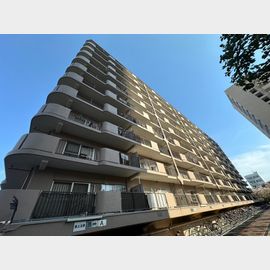 江の木公園スカイハイツ 8階 築46年10ヶ月の賃貸物件