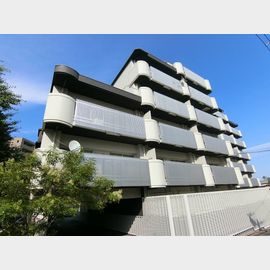 メゾン千里中央 6階 築43年7ヶ月の賃貸物件