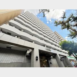 ノルデンハイム東三国Ｂ棟 8階 築27年10ヶ月の賃貸物件