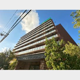 西中島南方駅より徒歩8分 8階 築4年10ヶ月の賃貸物件