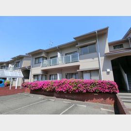 ハイツフルール 2階 築37年8ヶ月の賃貸物件