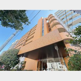 ルノーブル 8階 築32年1ヶ月の賃貸物件