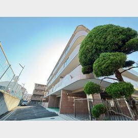アムール桃山台 4階 築32年4ヶ月の賃貸物件