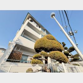 ハイツ桃山 2階 築53年5ヶ月の賃貸物件