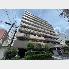 メゾンドール錦糸町ツイン 9階 築30年6ヶ月の賃貸物件