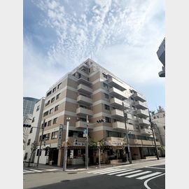 ティック・ハウス 9階 築37年の賃貸物件