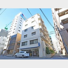 キャッスルマンション両国Ｂ号館 7階 築40年の賃貸物件