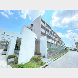 プリムベール向丘 1階 築31年2ヶ月の賃貸物件