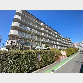 マンハイム桃山台 5階 築46年9ヶ月の賃貸物件