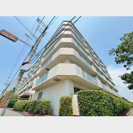 岡町駅より徒歩14分 2階 築48年4ヶ月の賃貸物件