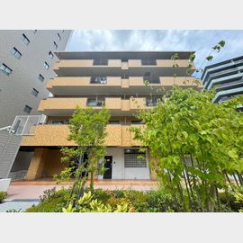 ステラハイツ千里の賃貸物件