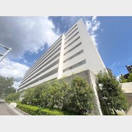 サンメゾン新千里北町ＥＬＤＯの賃貸物件