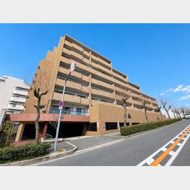 少路駅より徒歩8分 8階 築31年2ヶ月の賃貸物件