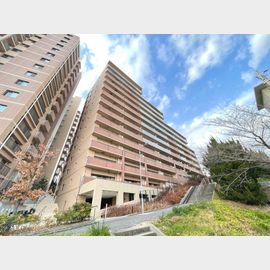 千里中央駅より徒歩15分 築10年7ヶ月 13階建の賃貸物件