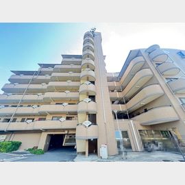 ロイヤルオータム 8階 築30年9ヶ月の賃貸物件