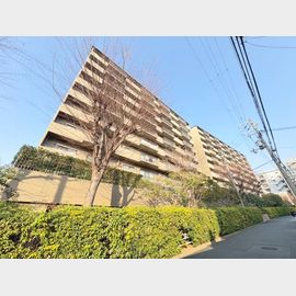 緑地グランドマンション2号棟 2階 築48年8ヶ月の賃貸物件