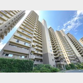 新千里桜ヶ丘メゾンシティ弐番館 11階 築20年6ヶ月の賃貸物件